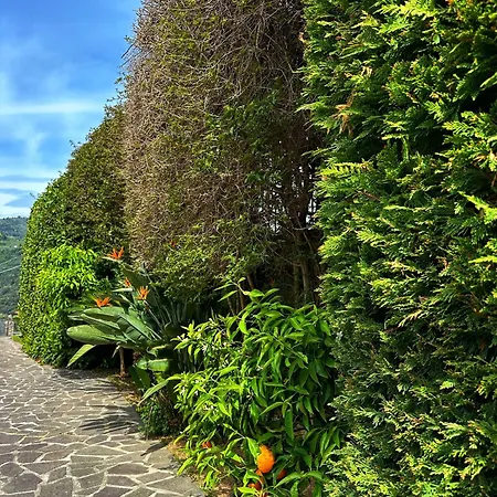 Holiday home Pink House Camporosso (Liguria)