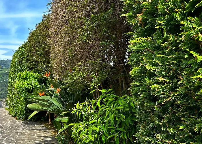 Сasa de vacaciones Pink House Camporosso (Liguria)